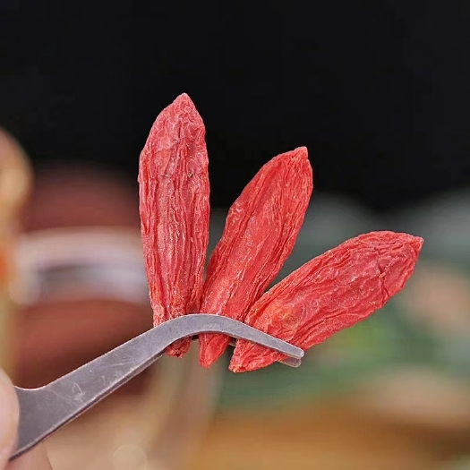 兰州红枸杞  小尖椒枸杞