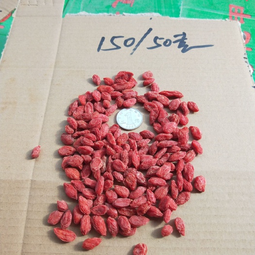 瓜州枸杞  瓜州头茬枸杞150粒/50g，一件起发