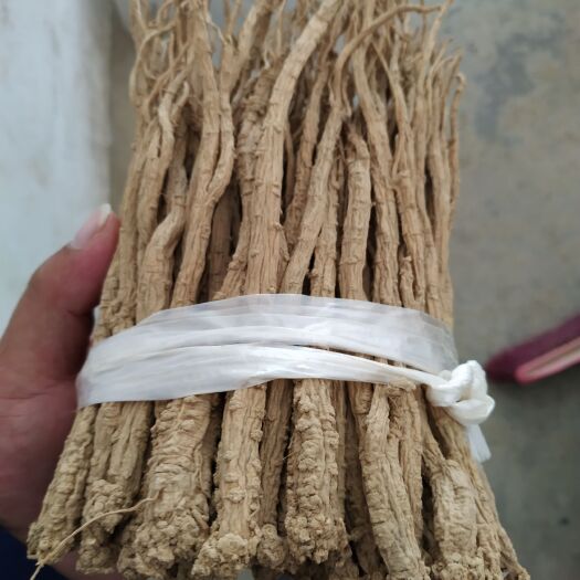巫山白条党参 重庆市巫山县红椿乡   庙党参