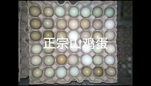 七彩山鸡蛋，
营养丰富老人小孩特别爱吃煮这吃蒸这吃有种蛋香味