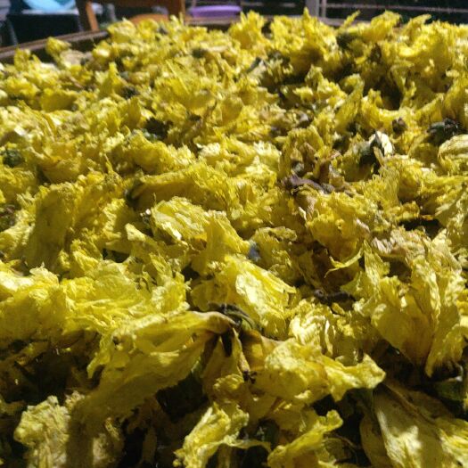 南部县黄蜀葵  中药材种植专业合作社，种植加工一体化，无中间商质优价廉
