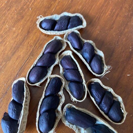孟连县黑花生、（老品种）富硒花生