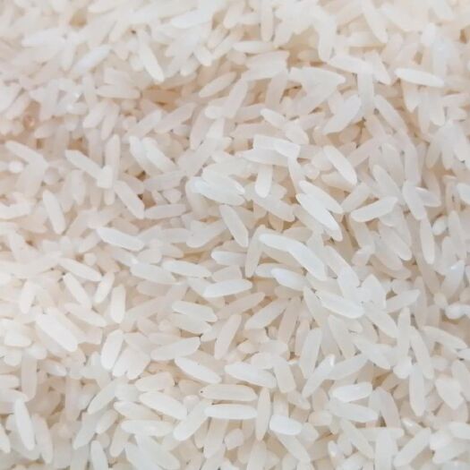 蝦稻米 一等品 中稻 粳米