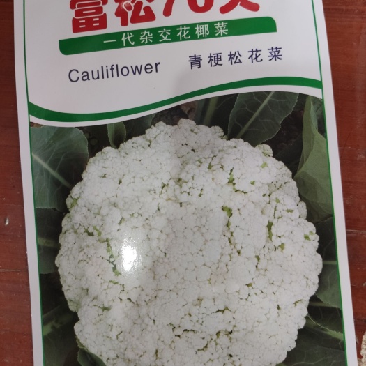 白面青梗松花菜种子 富松70天（力禾）