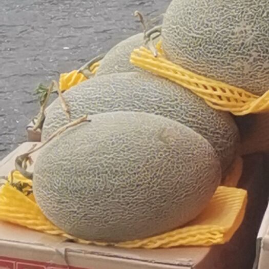 中牟县西州蜜 皮薄肉厚香甜