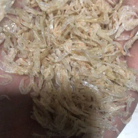 诏安县白鲜皮 