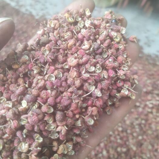 枣庄山东花椒 颗粒大，色泽鲜亮，