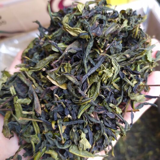 惠来县乌龙茶  八仙茶高山茶叶潮汕土山茶八仙茶山茶1斤大坪山土山茶