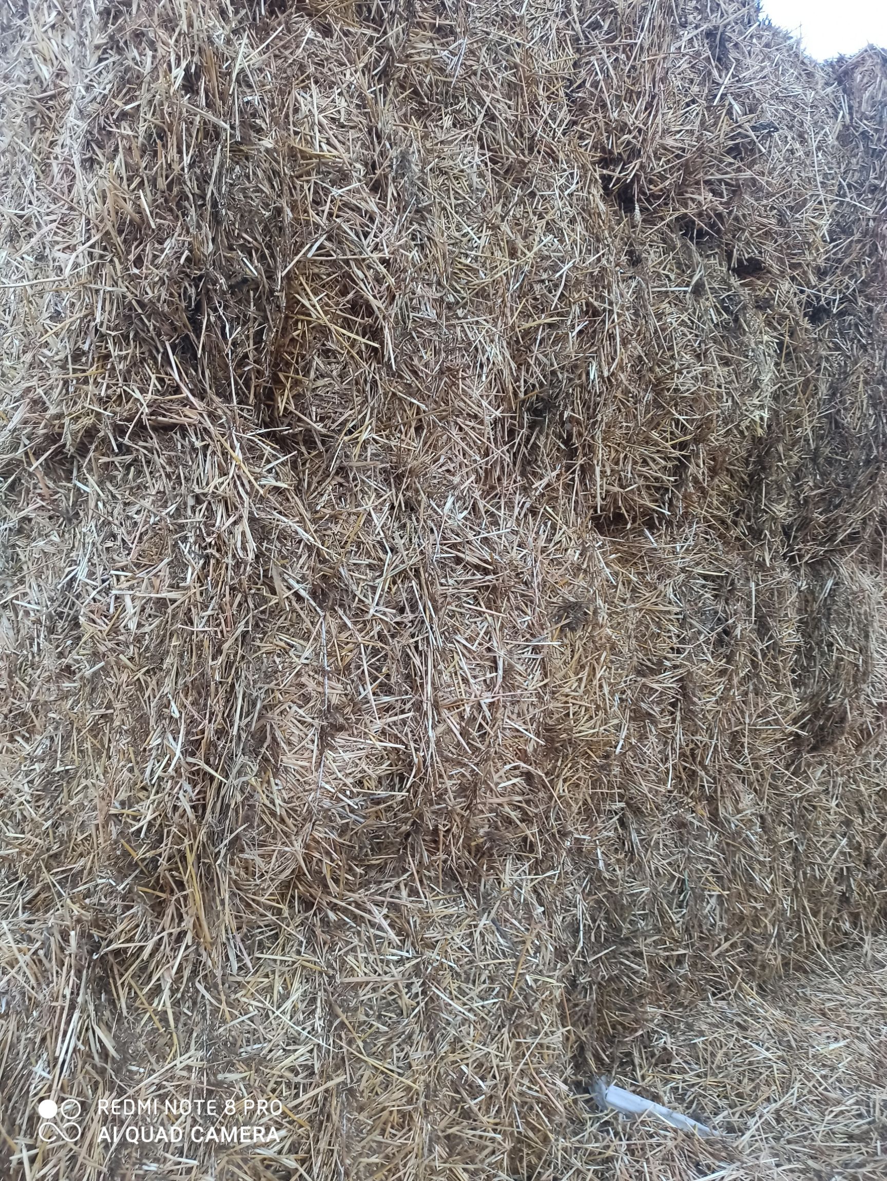 秸秆压块  大量电厂草，诚信为本，质量保证。