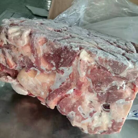 牛肉类 阿根廷 乌拉圭牛碎肉 瘦肉比例80%