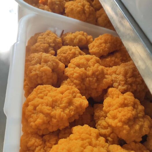 昆明 有机金耳，滋补佳品，欢迎大客户