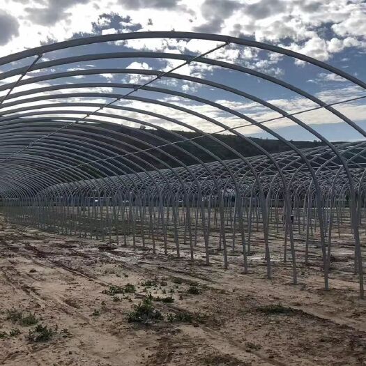 天津种植大棚  插地棚 瓜果蔬菜大棚 大棚配件齐全