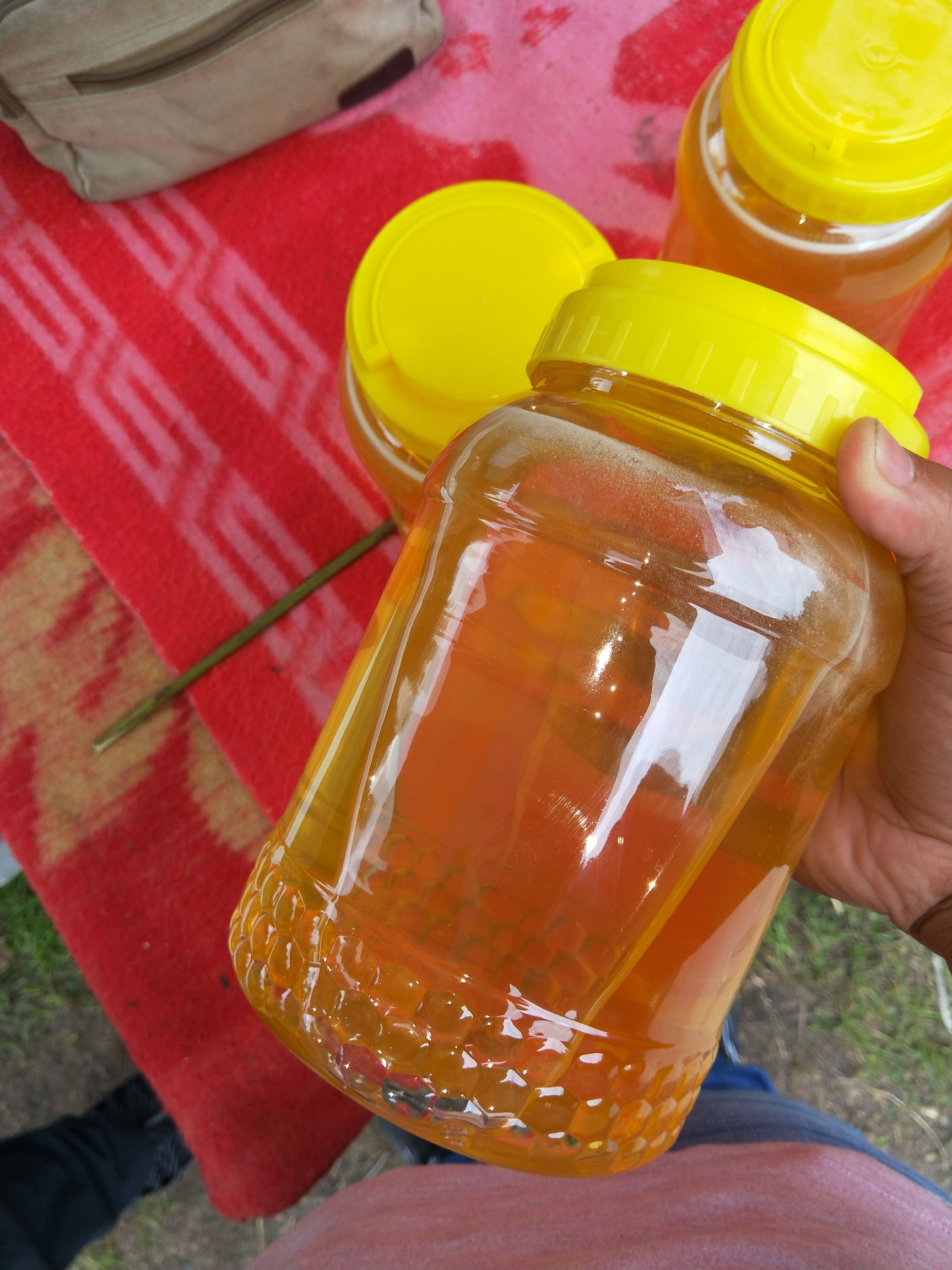 椴树蜜  小兴安岭无污染空气，椴树蜂蜜！