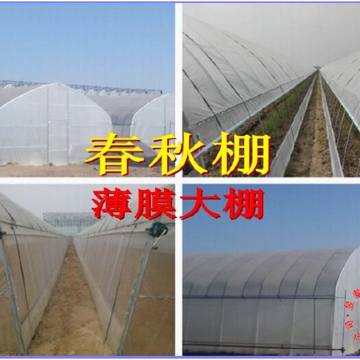 泊头市春秋棚冷棚钢管薄膜大棚蔬菜大棚简易插地棚昱泰温室大棚设计建设