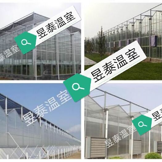 泊头市种植大棚  玻璃智能温室纹络连栋温室阳光板大棚育苗温室生态餐