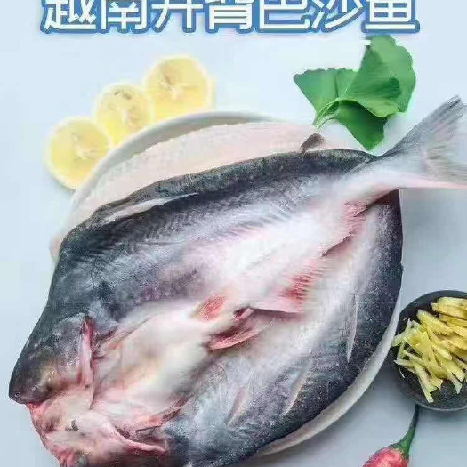 南宁冷冻巴沙鱼 越南开背鱼