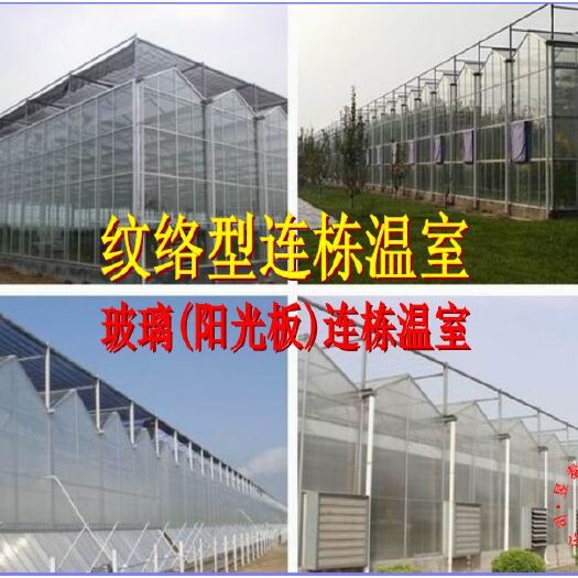 泊头市玻璃温室智能连栋温室育苗温室阳光板大棚昱泰温室大棚设计建设