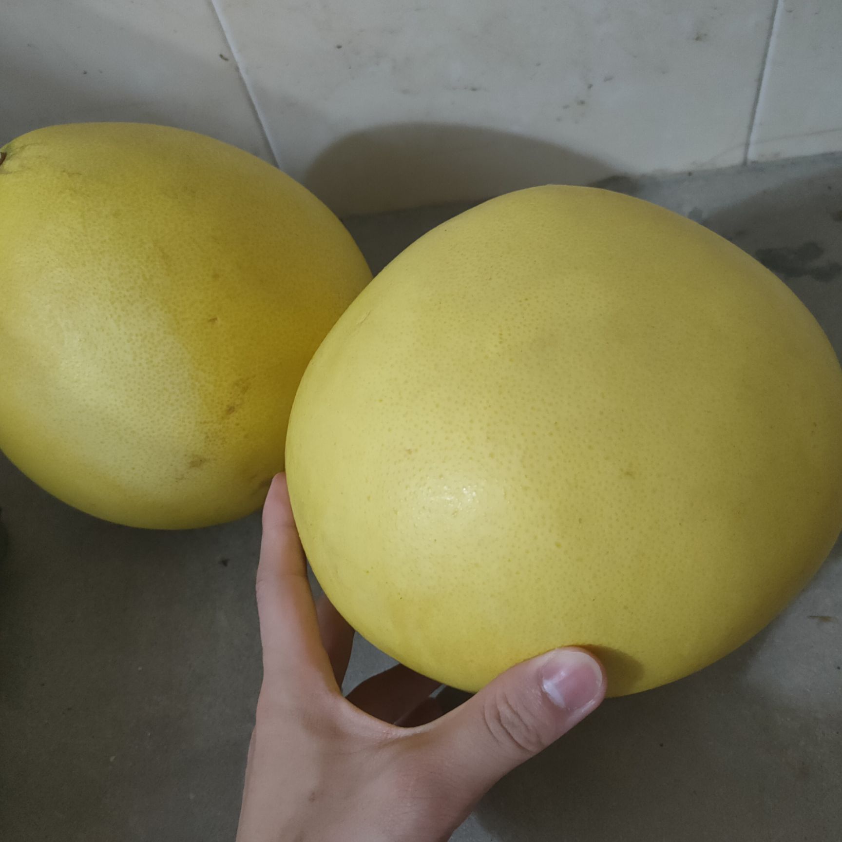 正宗梅州红肉沙田柚，肉丰满水分多，甜份足