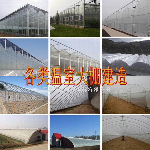 泊头市种植大棚  放风机  玻璃阳光板连栋温室大棚纹络智能温室日光