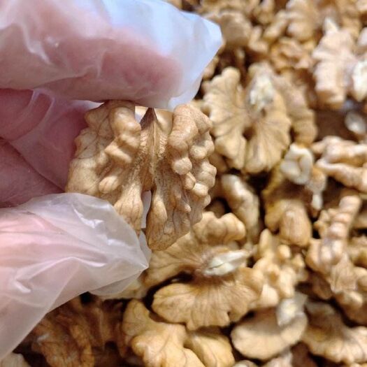 中阳县 薄皮核桃大量上市，青皮，去皮，欢迎咨询采购