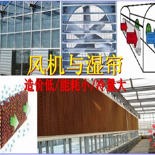 泊头市放风机  温室大棚风机湿帘智能玻璃温室负压风机水帘降温系统轴