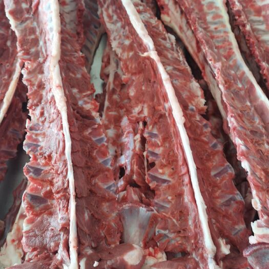 定州市羊骨  羔羊龙骨 半肉