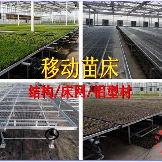 温室大棚育苗床移动苗床滚动苗床连栋温室苗床