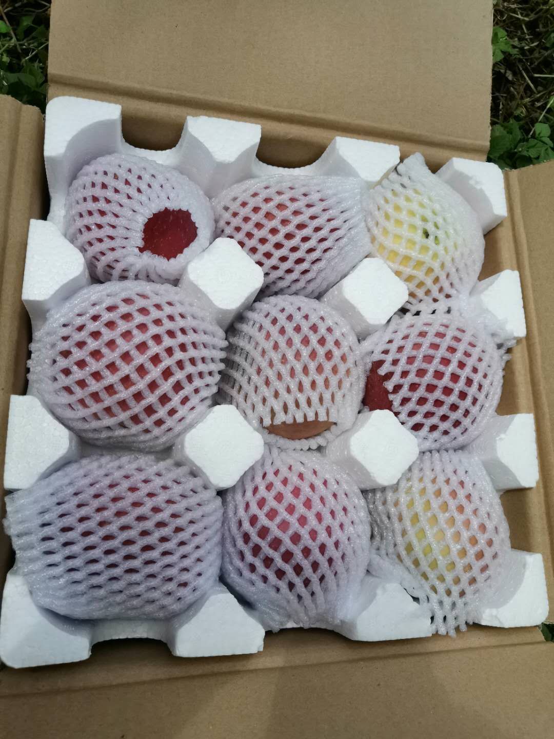 红富士苹果 70mm以上 全红 光果