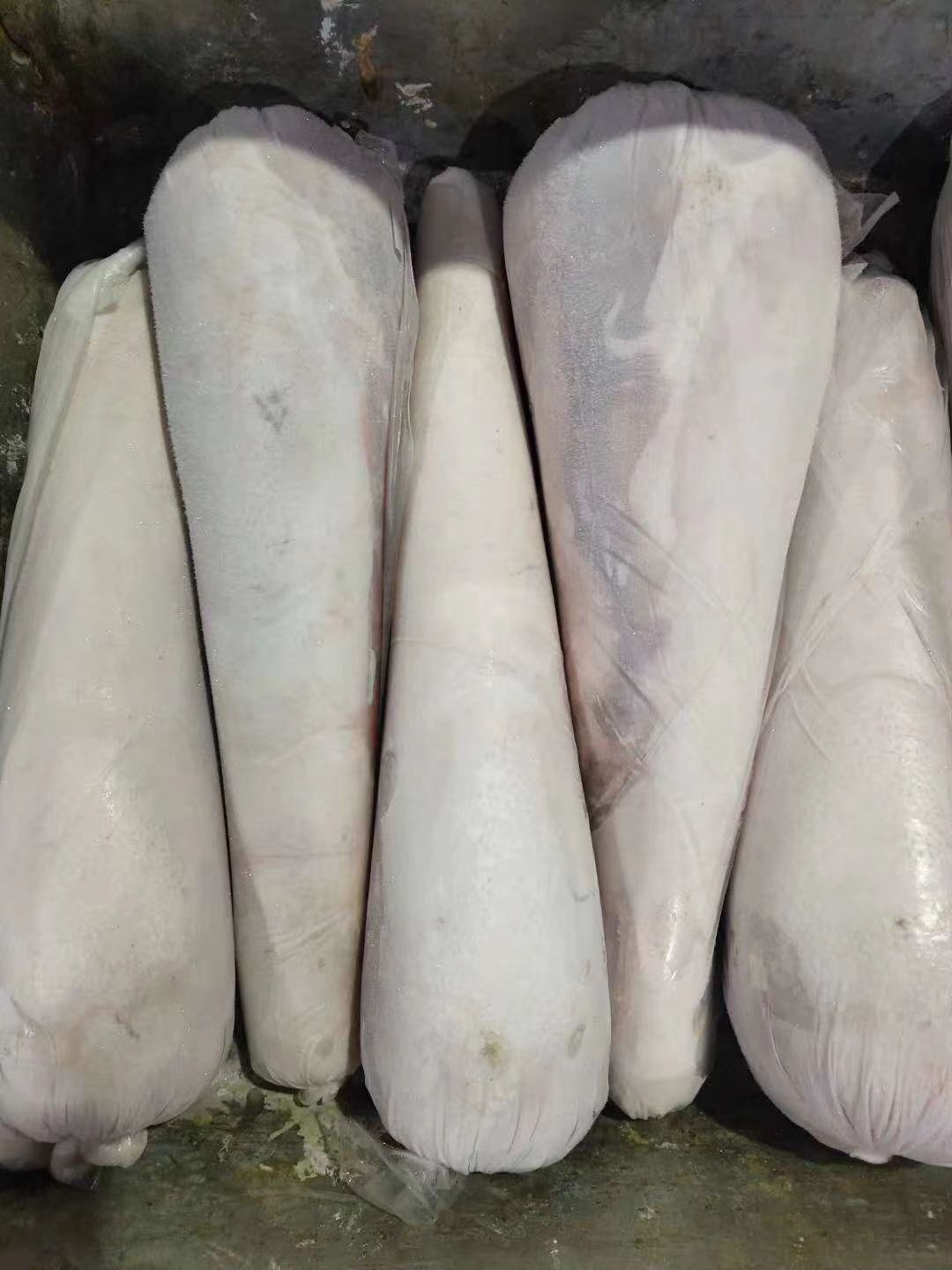  牛舌