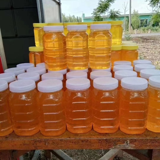 昭苏县 油菜蜜，薰衣草蜜，哭兜子蜜