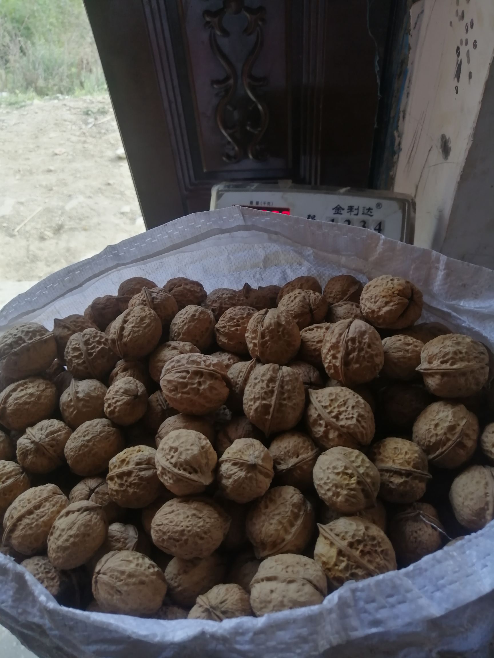 薄皮核桃 26~30mm 袋装 6-12个月 