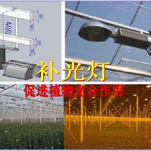 廊坊温室大棚植物补光灯生长灯补光系统连栋温室玻璃智能温室补光灯