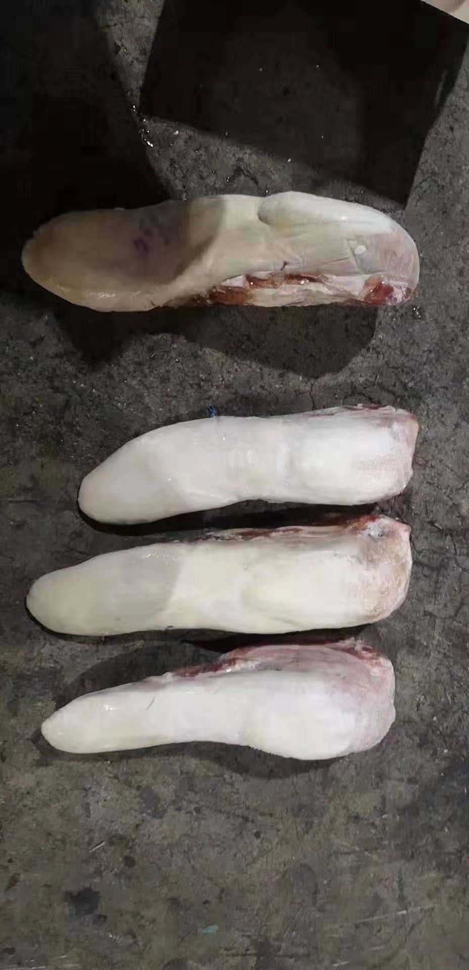  牛舌