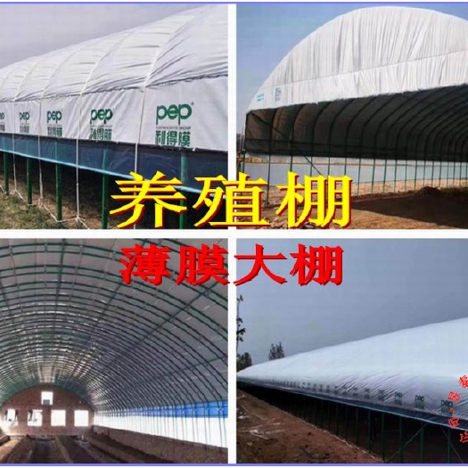 泊头市养殖大棚  养殖棚养猪牛羊鸡大棚昱泰温室大棚设计生产安装