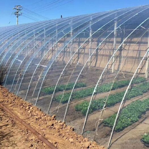 莘县玻璃温室大棚  7一12丝众意牌精品水晶PO膜1一18米