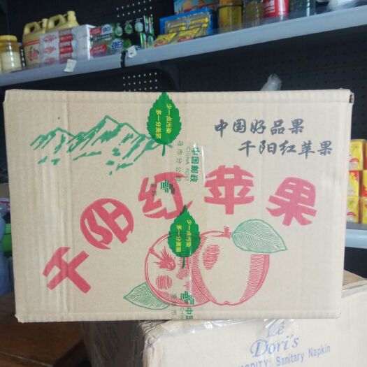 千阳县玉华早富 大量供应山地红苹果。