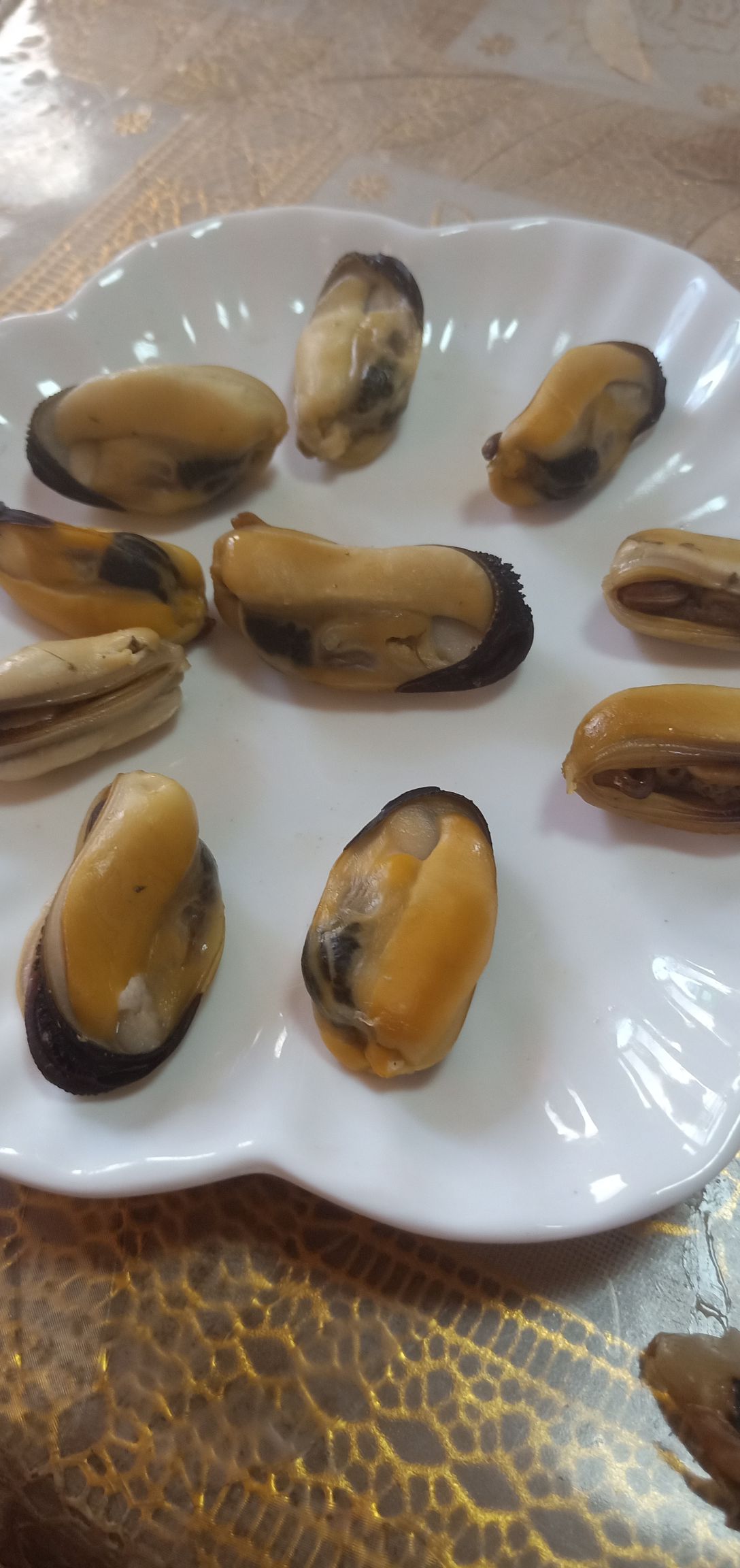 海鲜礼盒装  黑口贝蓝口贝青

嵊泗枸杞大海虹黑口贝蓝口贝