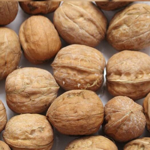 万荣县薄皮核桃  万荣2020优质有机新核桃果仁饱满口味香醇