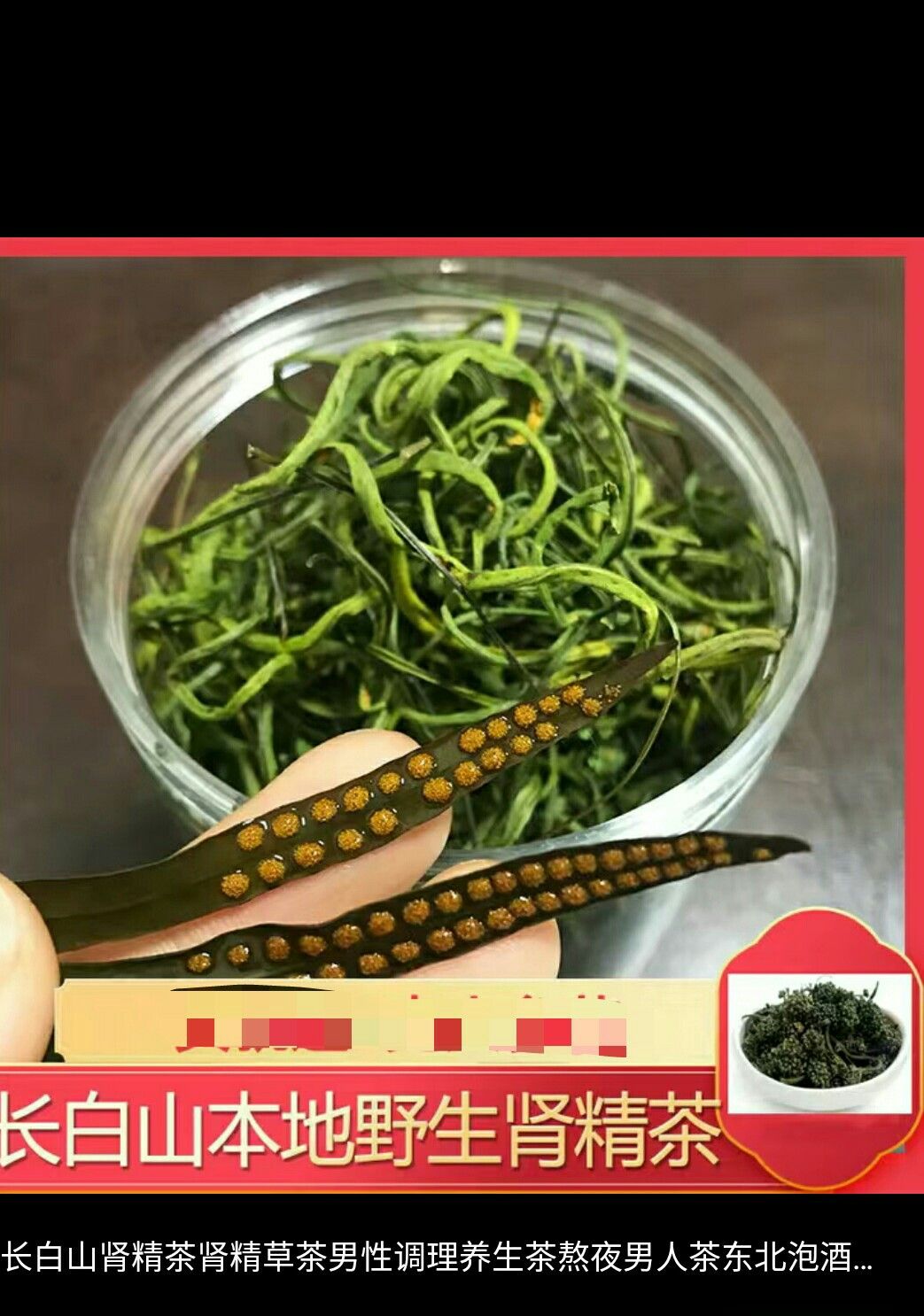 绿茶.长白山石韦茶