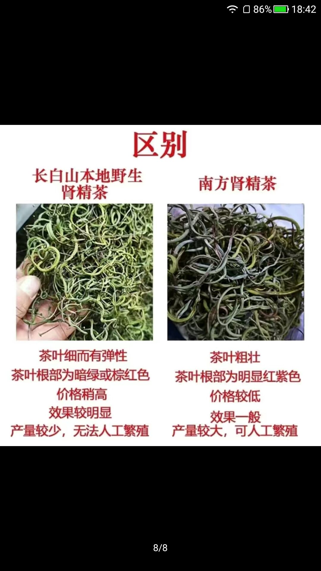 绿茶.长白山石韦茶