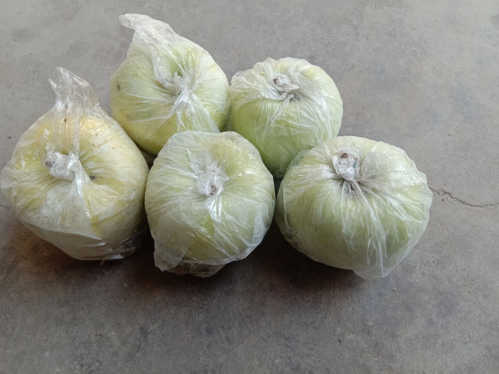  金帅苹果个头大 感甜可口 货真价实 过节送朋友送长辈  