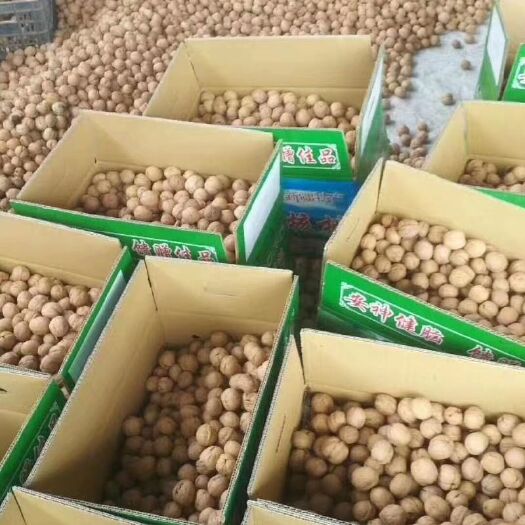 温宿县薄皮核桃 新疆阿克苏温宿县新品薄皮185大量上市，欢迎来咨询？采购
