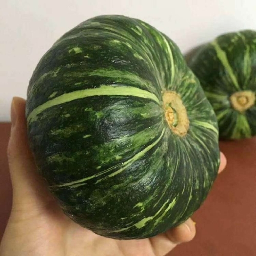 吴起县绿皮南瓜  陕北旱地板栗南瓜