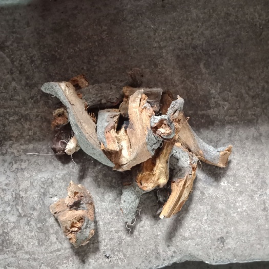 印江县本人常年供应虎杖，目前有40吨虎杖，望须求厂商下单