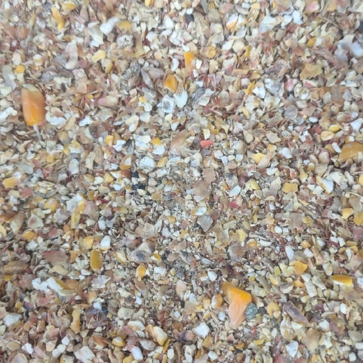 石家庄玉米糁 