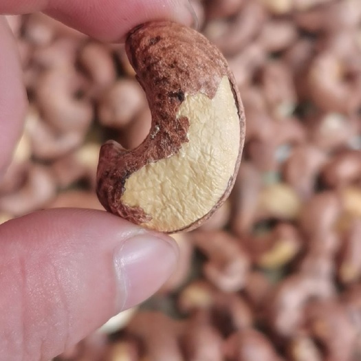 成都包邮厂家直销带皮腰果腰果质量保证包退包良心商家诚信经营