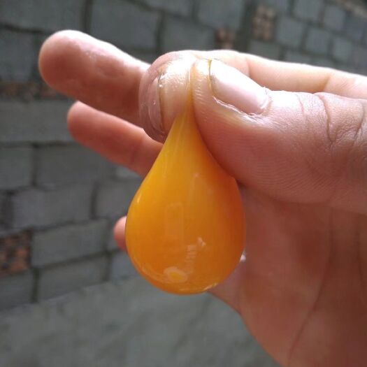 宝兴县优质土鸡蛋