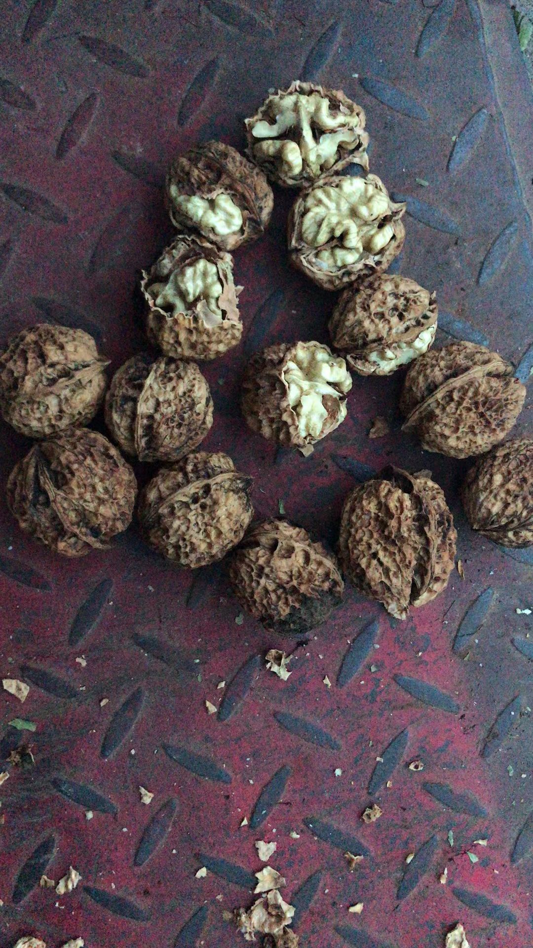 薄皮核桃 云南纸皮核桃