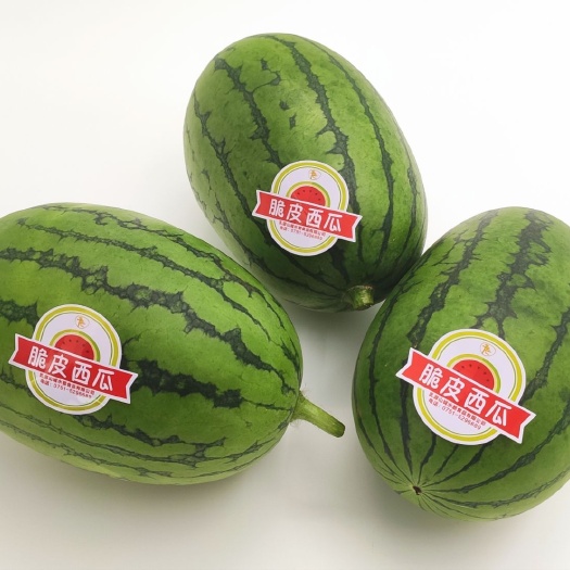乳源县拿比特西瓜  拿比特脆皮西瓜