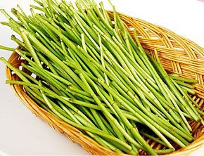 麻江县青藜蒿 25~30cm 